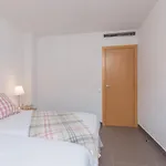 Cornellalux 2 *